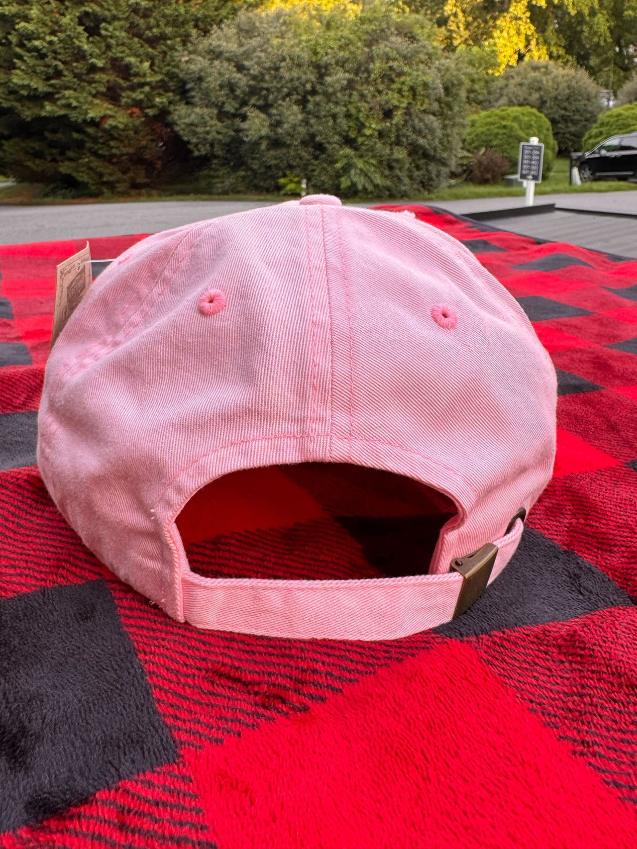 Pink Embroidered Regular Holly Jolly Hat