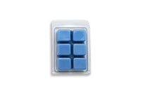Thumbnail for Beach Club Wax Melt
