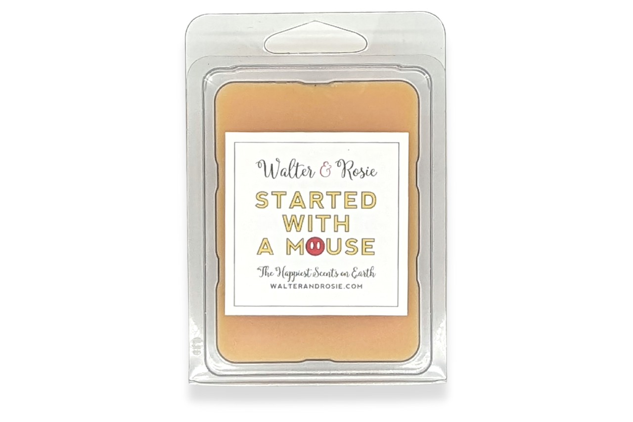 Started with a Mouse Wax Melt