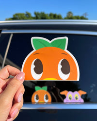 Thumbnail for Peeping Bird Decal