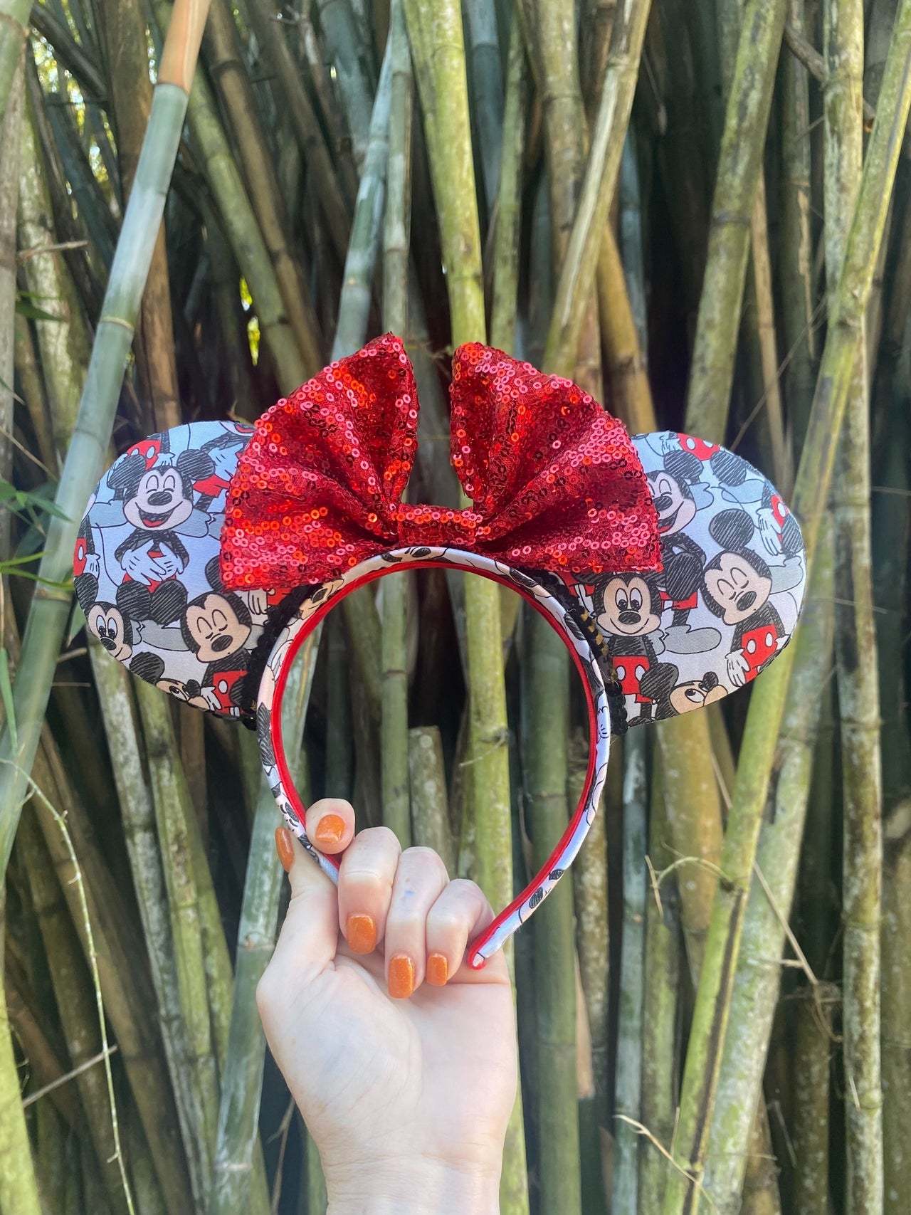 Mouse Ears with Red Bow