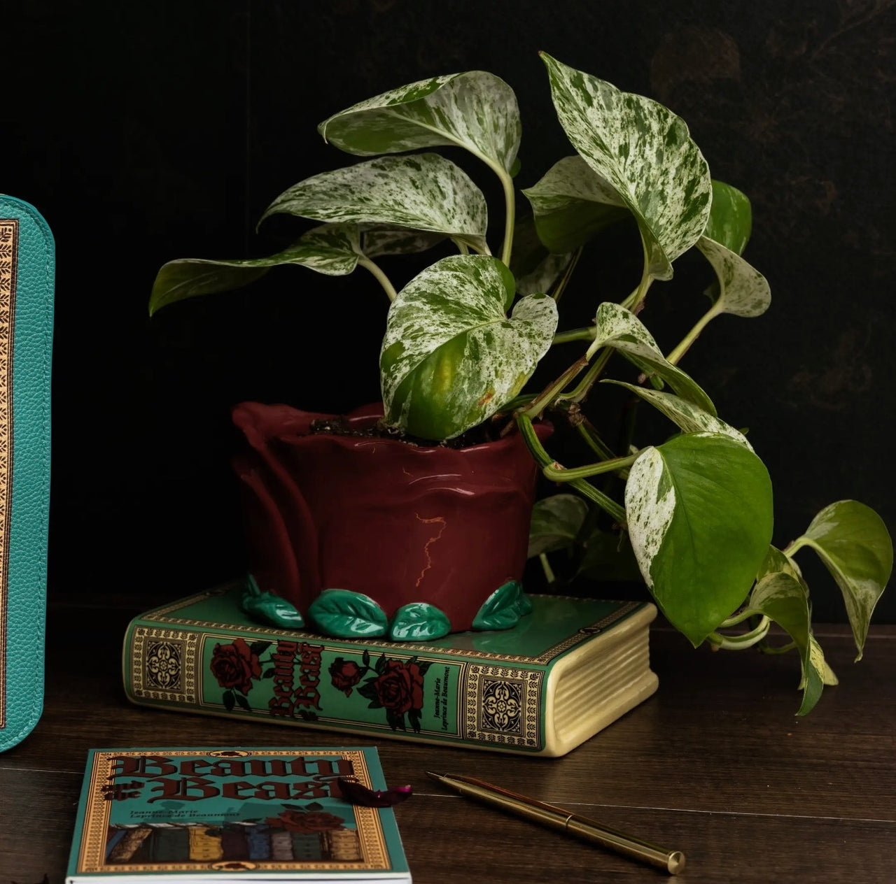 Self Watering Book Planter (Pre-Order)