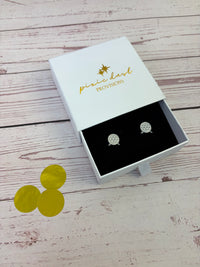 Thumbnail for Spaceship Earth Stud Earrings - Silver