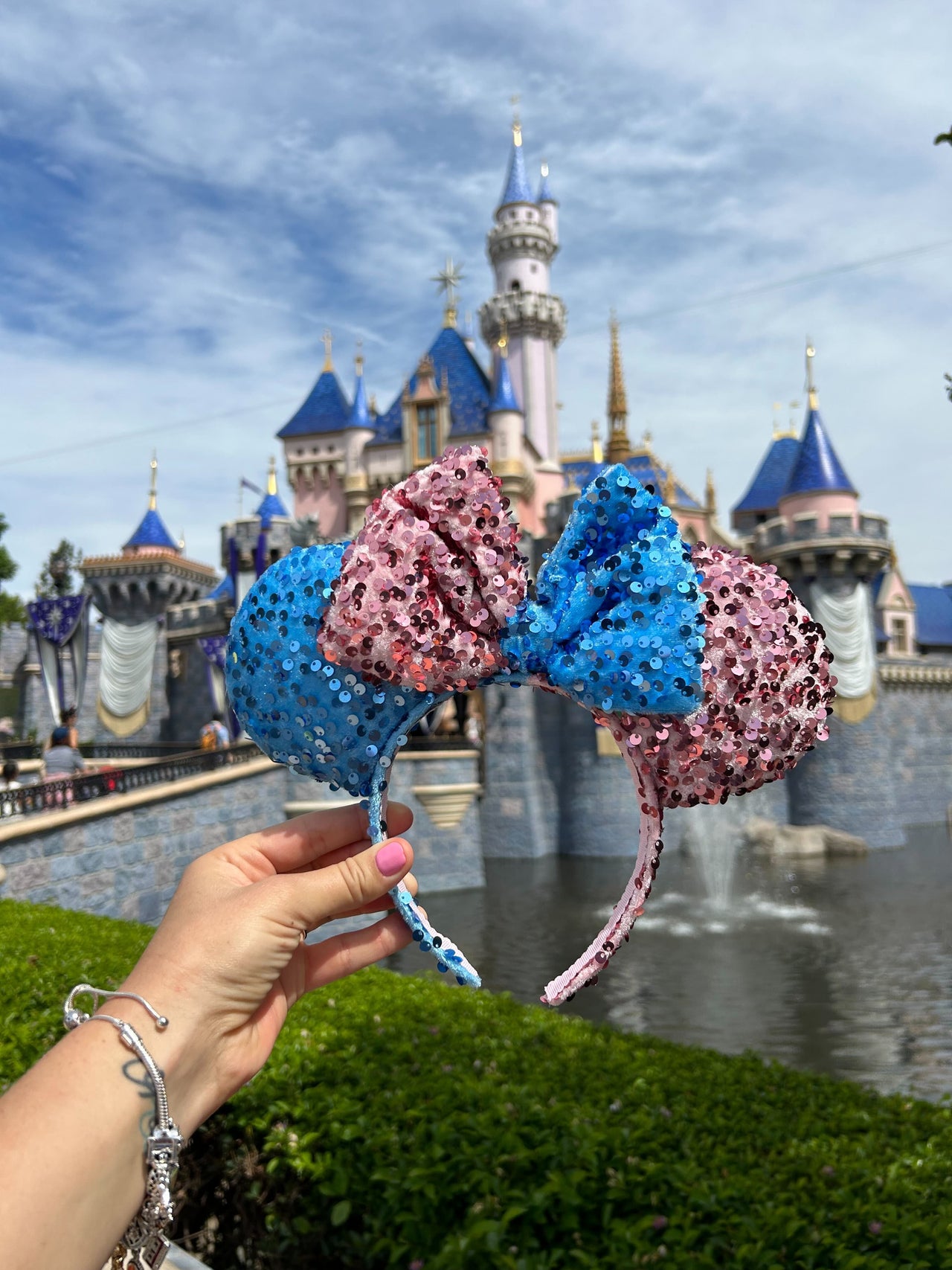 Blue and Pink Sequins  Ears