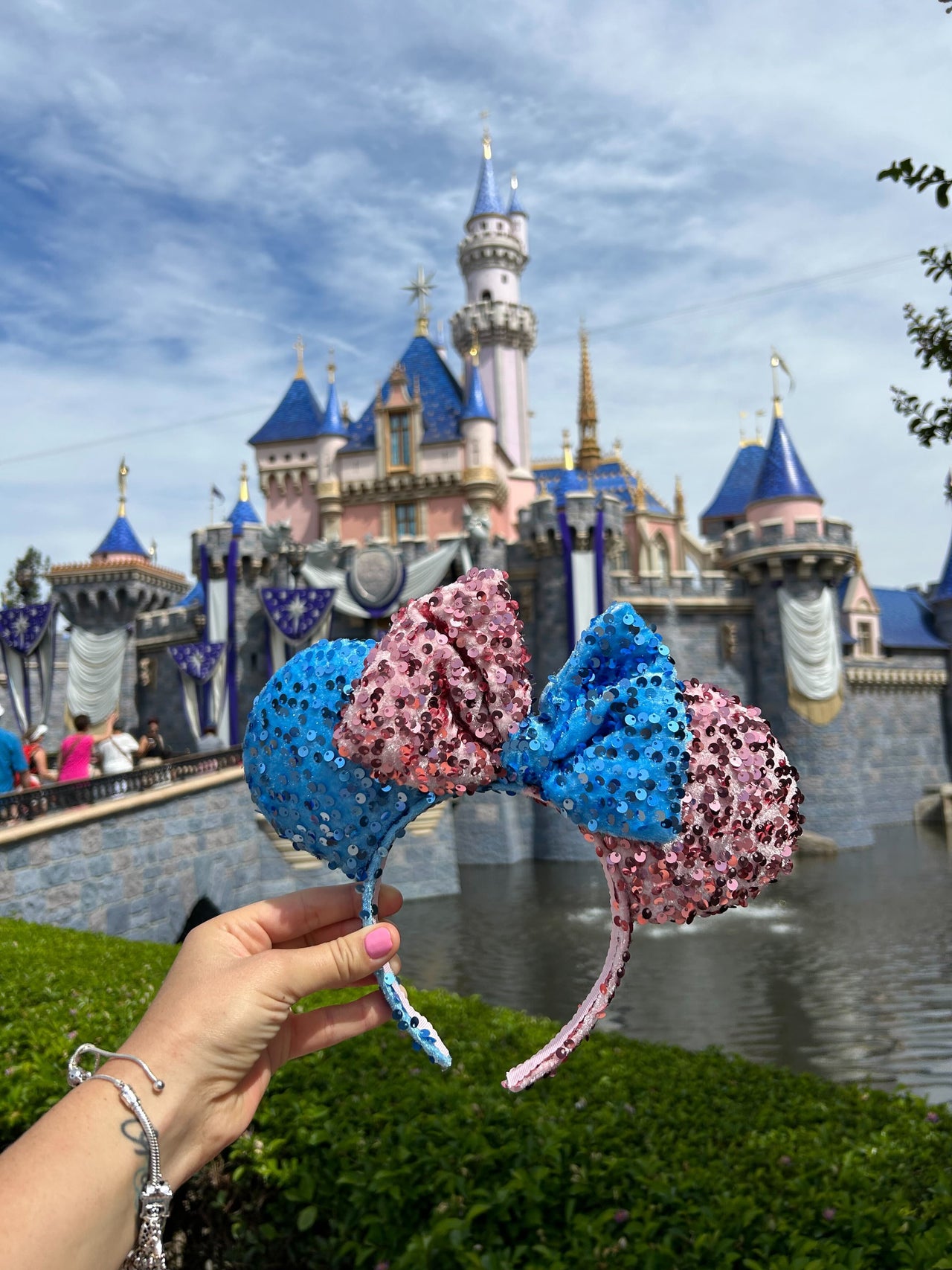 Blue and Pink Sequins  Ears