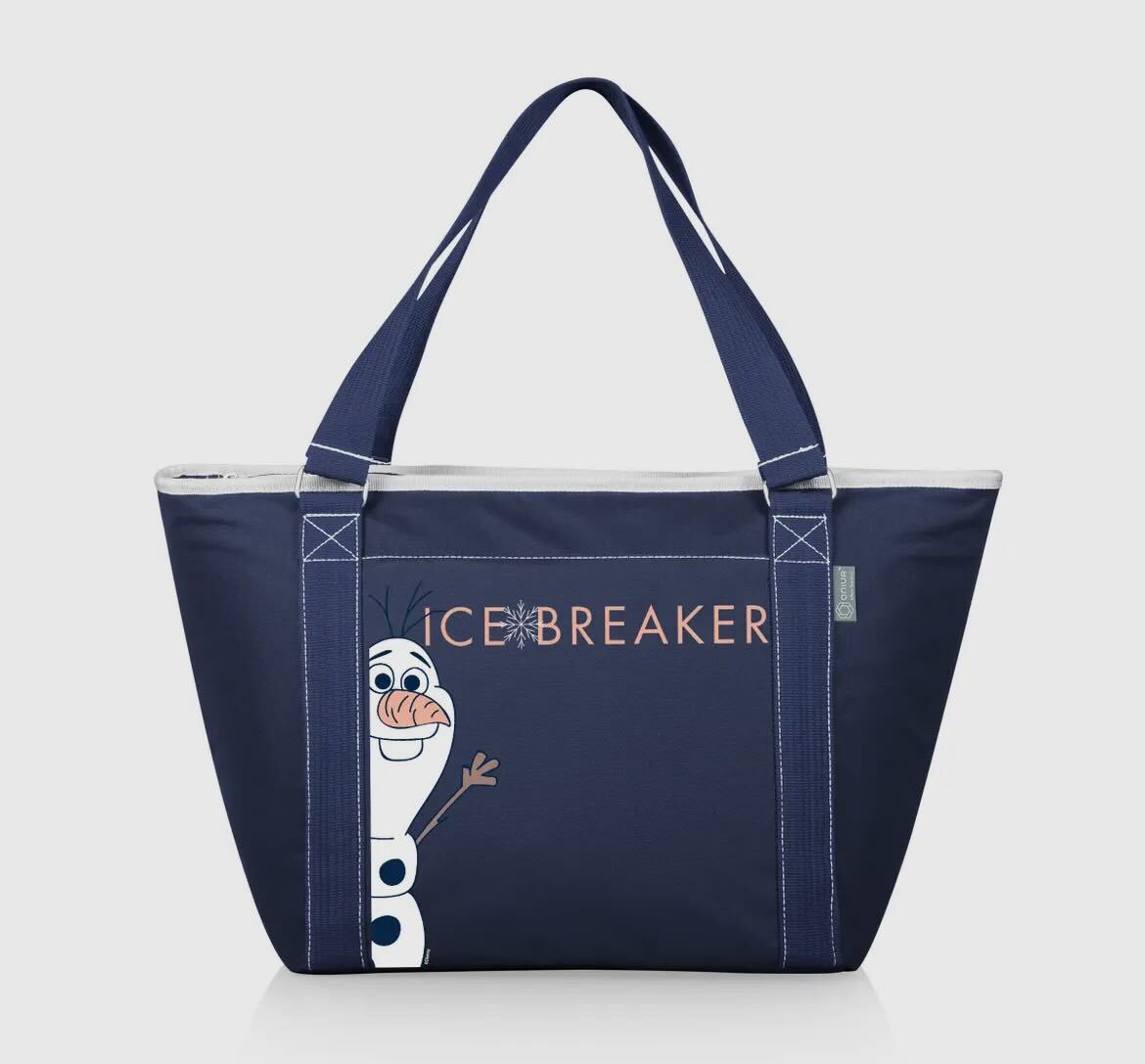 Large Insulated Icebreaker Bag