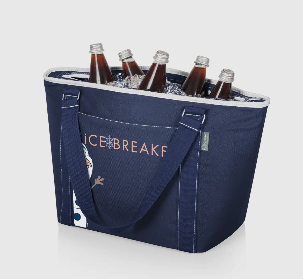 Large Insulated Icebreaker Bag