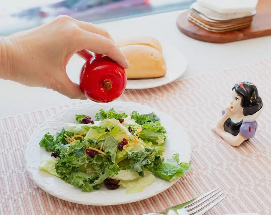 Dash of Fairness Salt & Pepper Shakers