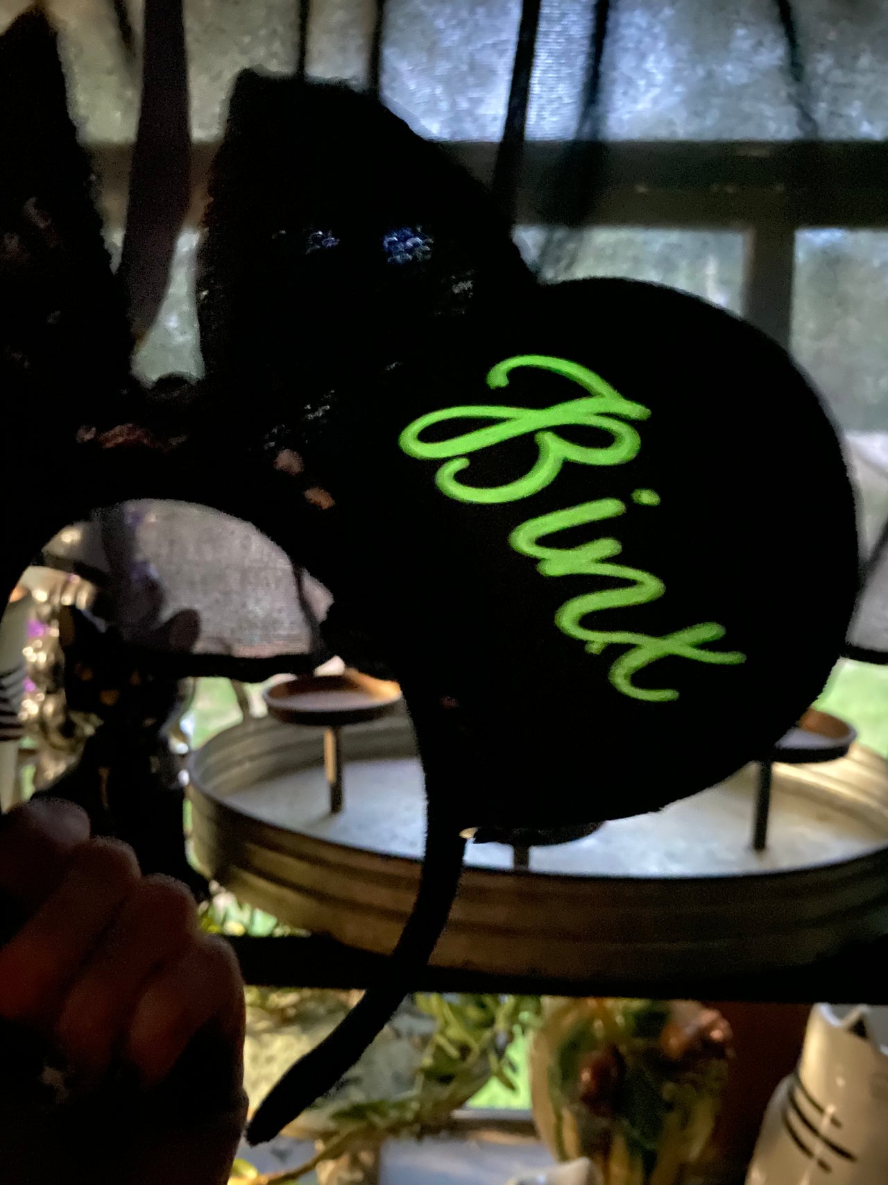 Binx Black Ears (Pre-Order)