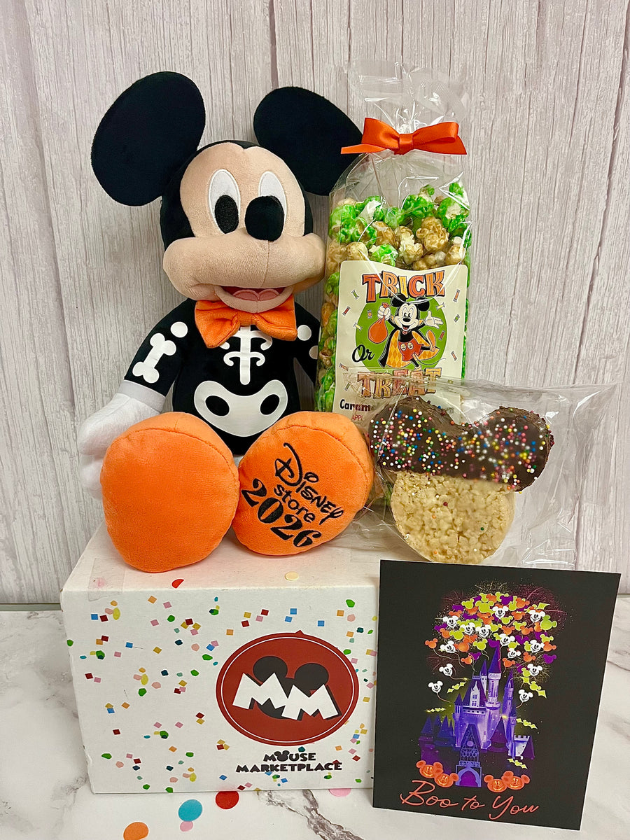 Main Magical Mouse Mini Box
