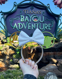 Thumbnail for 3D Bayou Dreams Ears (Pre-Order)