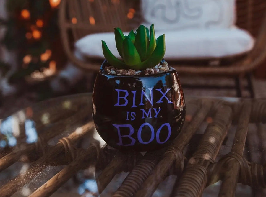 Binx Is My Boo Ceramic Mini Plant  (pre-order)