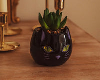Thumbnail for Binx Is My Boo Ceramic Mini Plant  (pre-order)