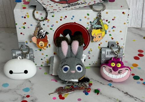 Mystery Character Keychain