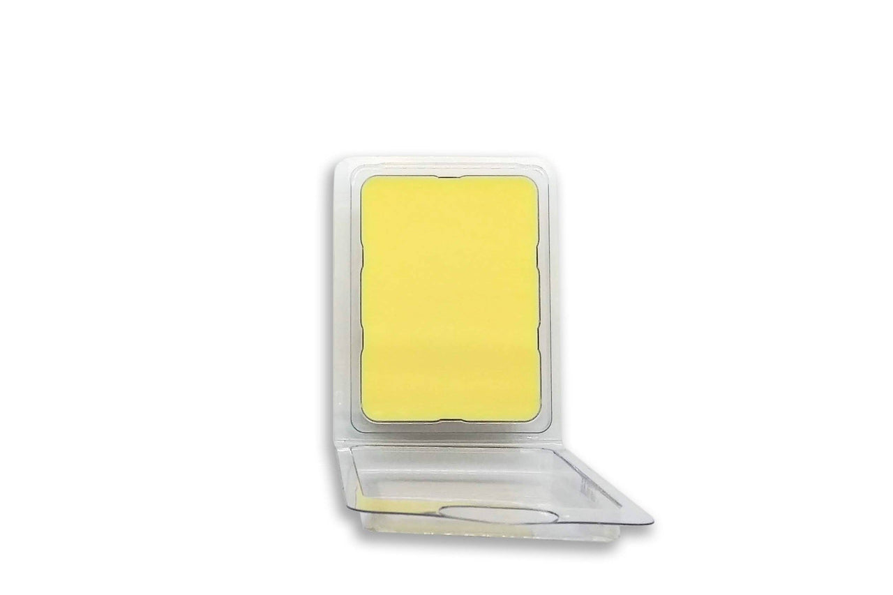 Pineapple Float Wax Melt