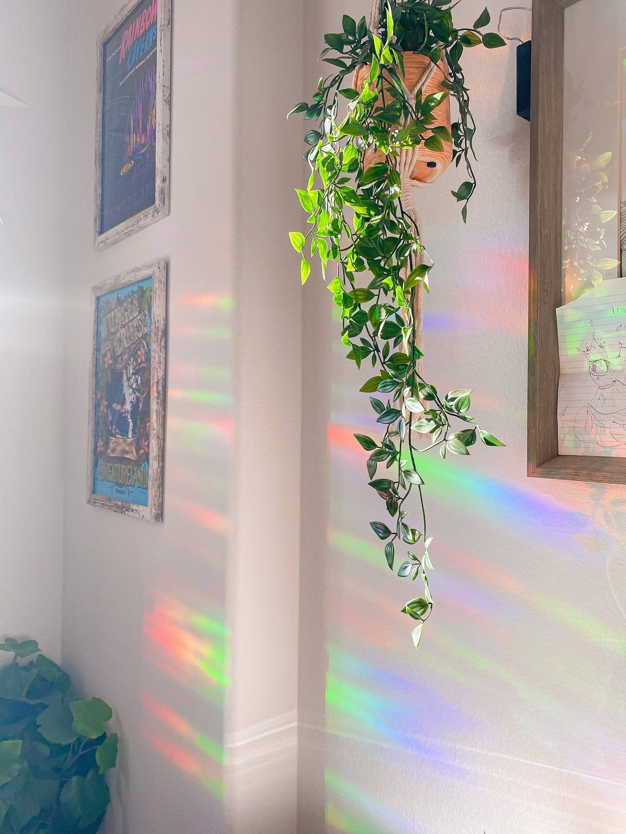 Suncatcher Sticker - Enchanted Rose